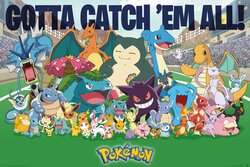 Pokemon Gotta Catch Them All Poster 24X36