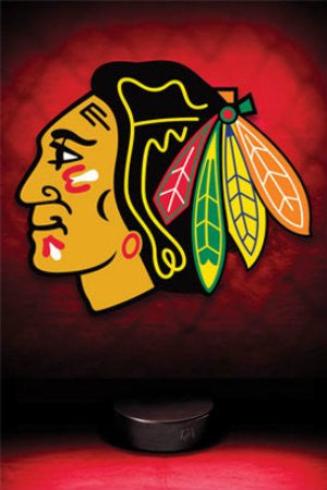 Chicago Blackhawks Logo (22x34) - SPT33347