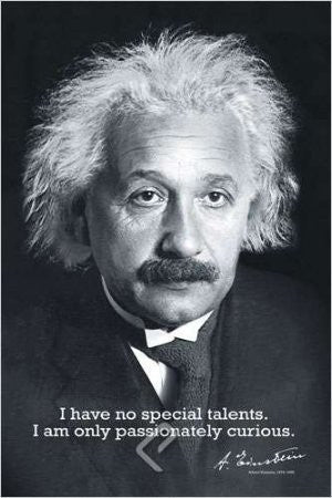 ISP57007 "Einstein - Curiosity" (24 x 36)
