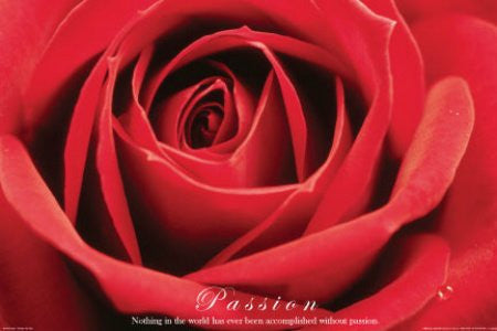ISP90001" Red Rose - Passion" (24 X 36)