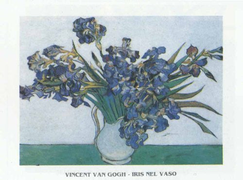 FAR31237 Van Gogh, V. - 'Vase of Irises' (20 X 28)