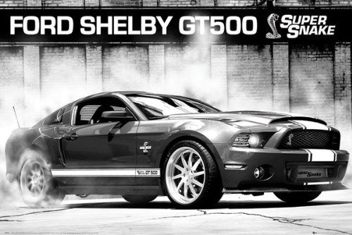 Ford Shelby GT500 "Super Snake" (24x36) - SPT44526