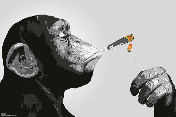 Monkey (24x36) - HMR50089