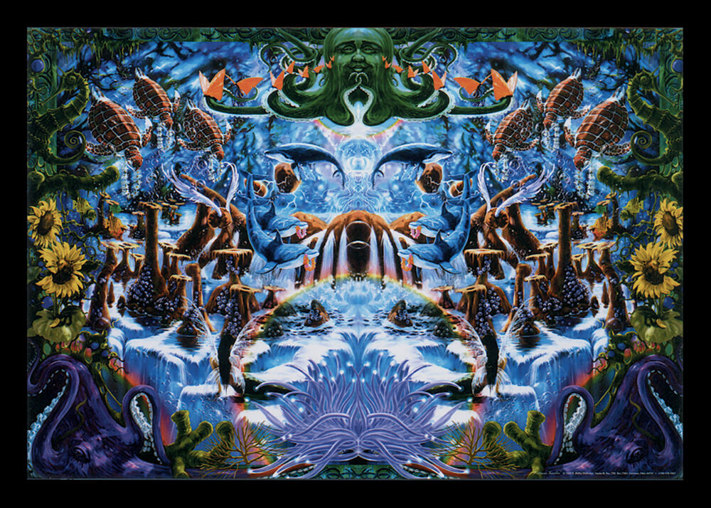 "Octopus Garden" (24X36) B405
