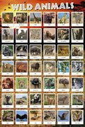 NAT31189 - Wild Animals Collage 24x 36