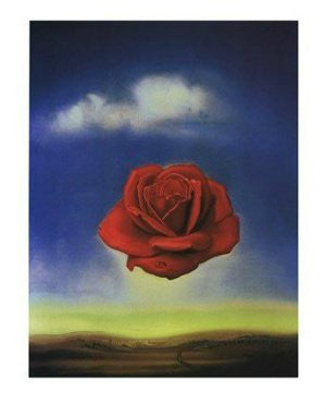 Salvador Dali - 'Meditative Rose' (11x14) - FAR00937