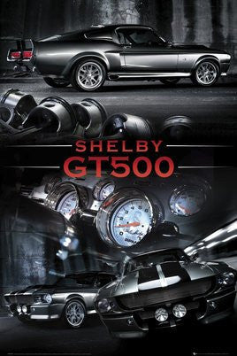 Ford Shelby GT500 (Silver) (24x36) - SPT90081