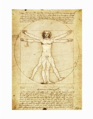 FAR44186" Leonardo Da Vinci - Vitruvian Man" (11 X 14)