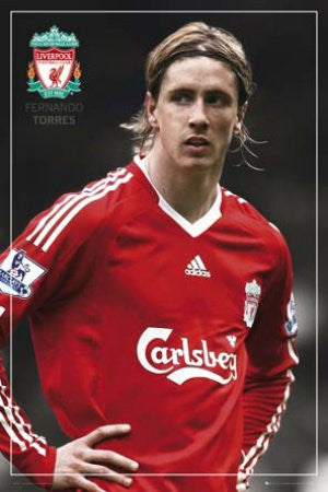 SPT03223" Liverpool - Fernando Torres" (24 X 36)