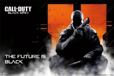 FLM56053 "Call of Duty - Black Ops II" (22 X 34)