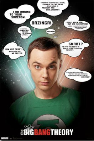 FLM56023 "The Big Bang Theory - Quotes" (22 X 34)