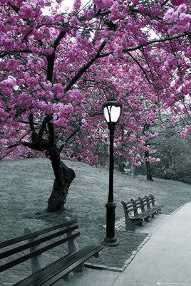 Central Park in Blossom (24x36) - ARC32678