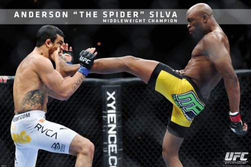 SPT44525 Anderson Silva UFC 24x36
