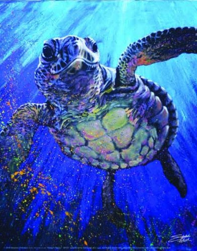 Stephen Fishwick - Kemps Ridley "Sea Turtle" (18x24) - CANV00015