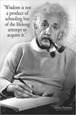 ISP57002 "Einstein - Lifelong Attempt" (24 x 36)