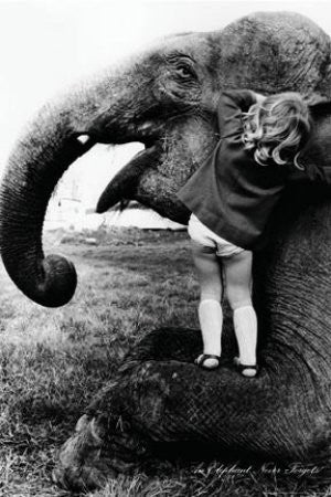 John Drysdale - 'An Elephant Never Forgets (11x14)' - ISP60002