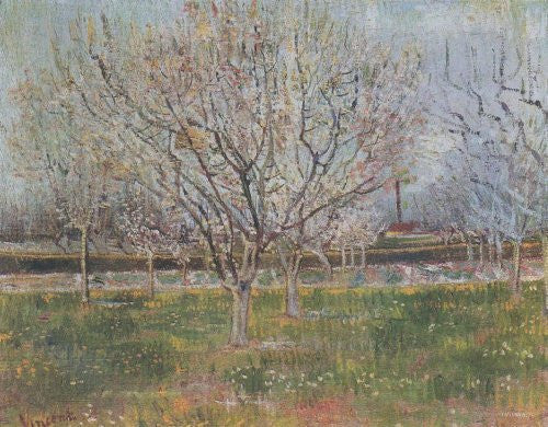 FAR20949 Van Gogh, V. - 'Orchard in Blossom' (23 X 31)