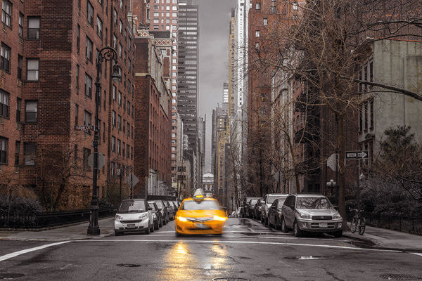 Assaf Frank - New York Taxi (24x36) - ARC00541