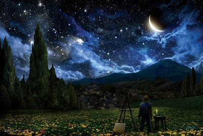 Starry Night - Point of View (24x36) - FAR10590