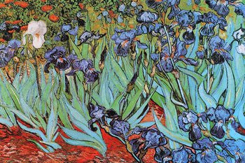Vincent van Gogh - 'Irises' (24x36) - FAR36306