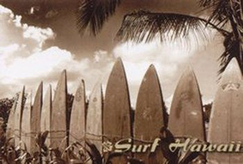 Surf Hawaii (24x36) - FAR36402