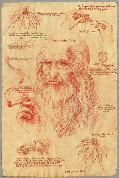 Leonardo Davinci - Pot