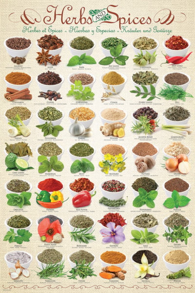 Herbs & Spices - 24X36 Inch Poster