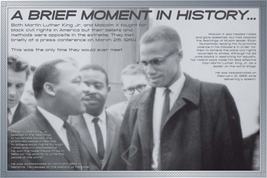 Malcolm X and Martin Luther King  ISP00002   24 X 36