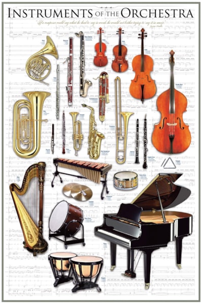 Instruments of the Orchestra - 24X36 Inch Poster