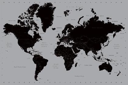 World  Map Silver (24x36) - NAT31842
