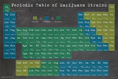Periodic Table of Marijuana Strains (24x36) - POT10885
