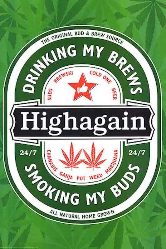 Highagain (24x36) - POT44818