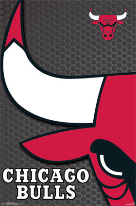 Chicago Bulls Logo (24x36) - SPT13761