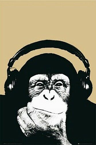 Steez Monkey Headphones
